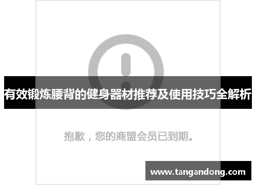 有效锻炼腰背的健身器材推荐及使用技巧全解析