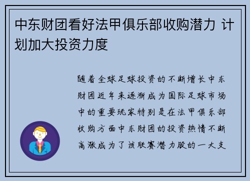 中东财团看好法甲俱乐部收购潜力 计划加大投资力度