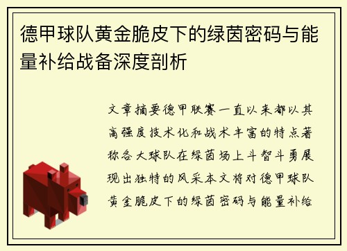 德甲球队黄金脆皮下的绿茵密码与能量补给战备深度剖析