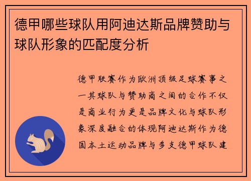 德甲哪些球队用阿迪达斯品牌赞助与球队形象的匹配度分析