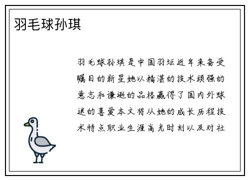 羽毛球孙琪